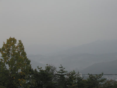 20071111.jpg