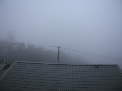20071213.jpg
