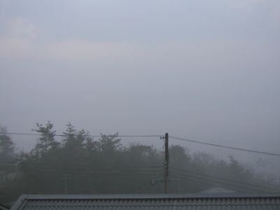 20080109.jpg