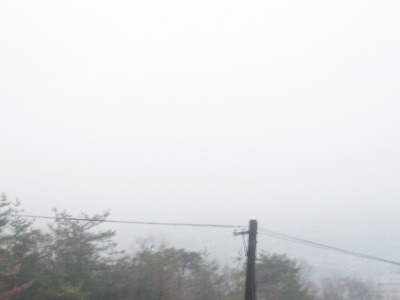 20080129.jpg