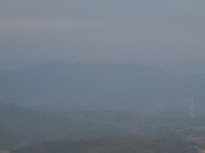 20080131.jpg