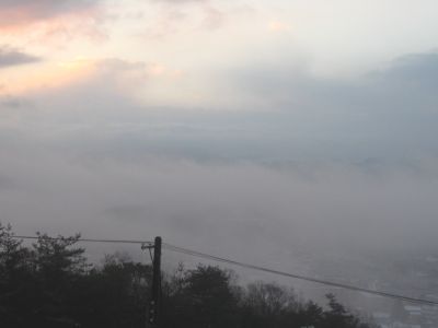 20080204.jpg
