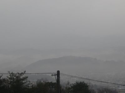 20080223.jpg