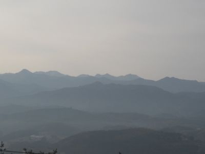 20080323.jpg