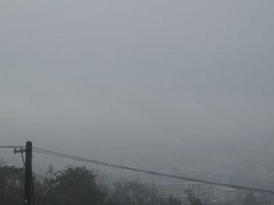 20080328.jpg