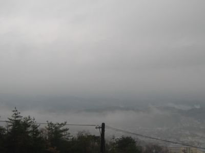 20080408.jpg
