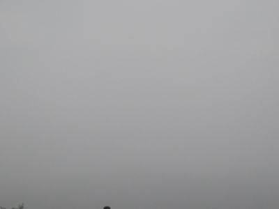 20080414.jpg