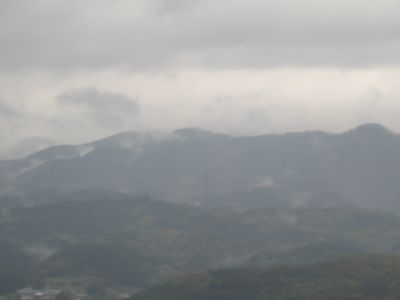 20080419.jpg