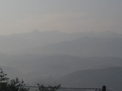 20080423.jpg