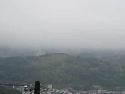 20080525.jpg