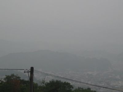 20080611.jpg