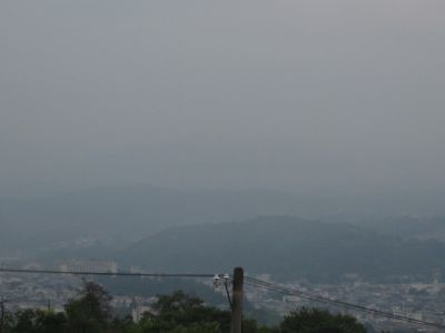 20080707.jpg