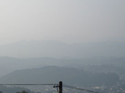 20080803.jpg