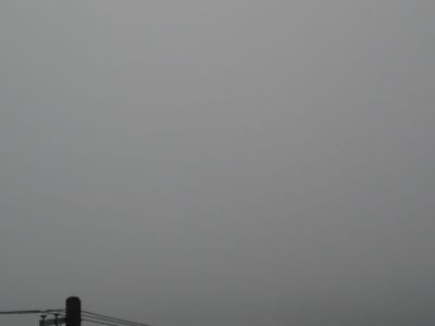 20080903.jpg